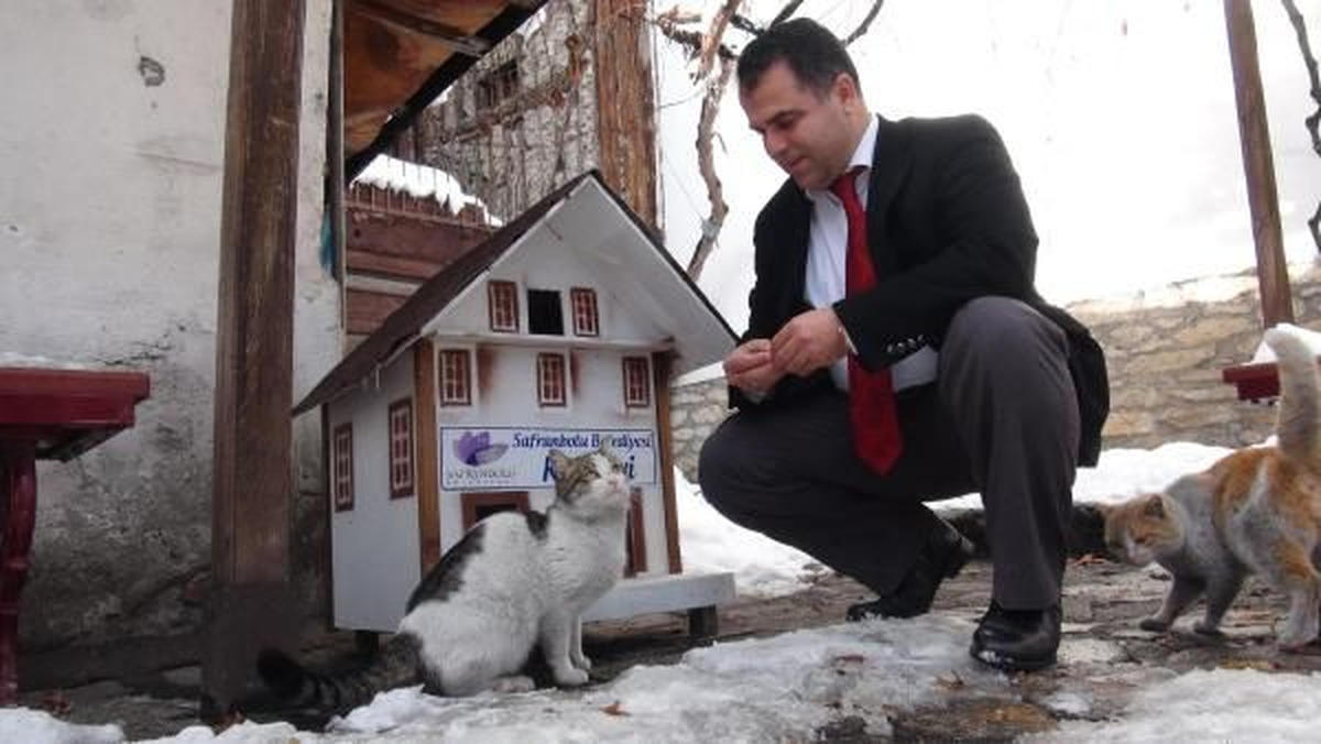 Safranbolu\'ya Mimariye Uygun 16 Kedi Evi