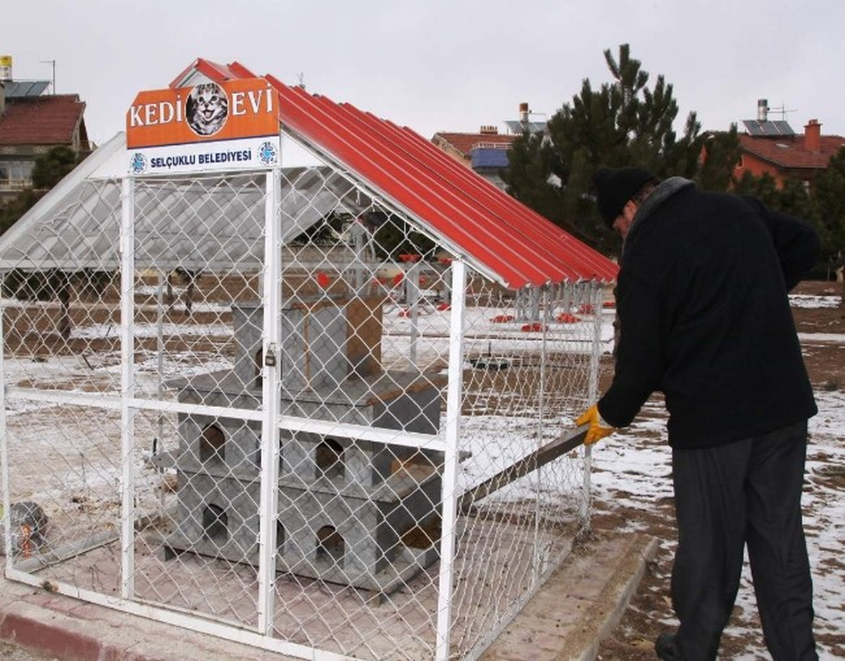 Selçuklu\'da Hayvanlar Unutulmadı
