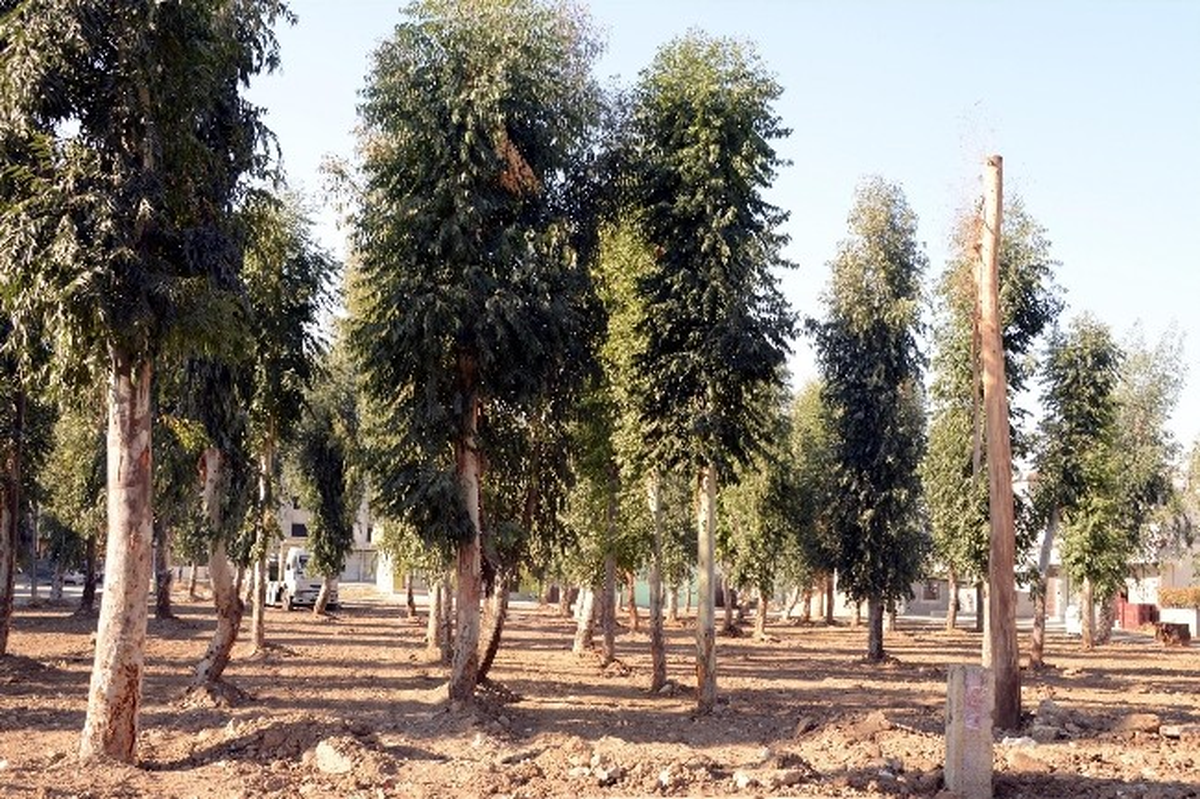 Akdeniz Belediyesi Park Çalışmalarına Hız Verdi