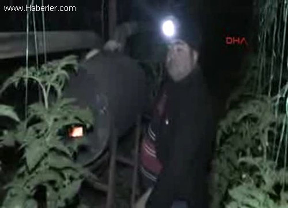 Antalya\'da Seralarda \'Don\' Nöbeti