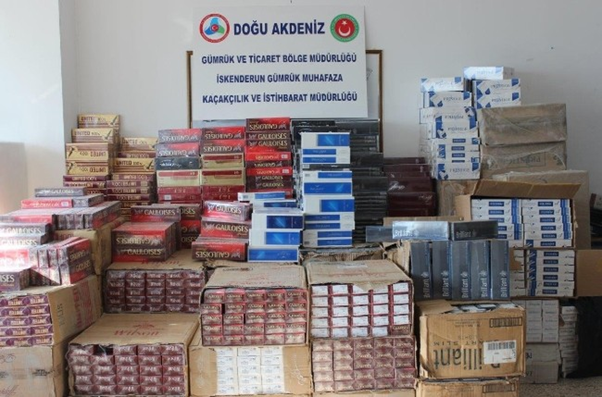 Çay ve Tütün Dedektör Köpeği, 34 Bin 890 Paket Sigara Yakaladı