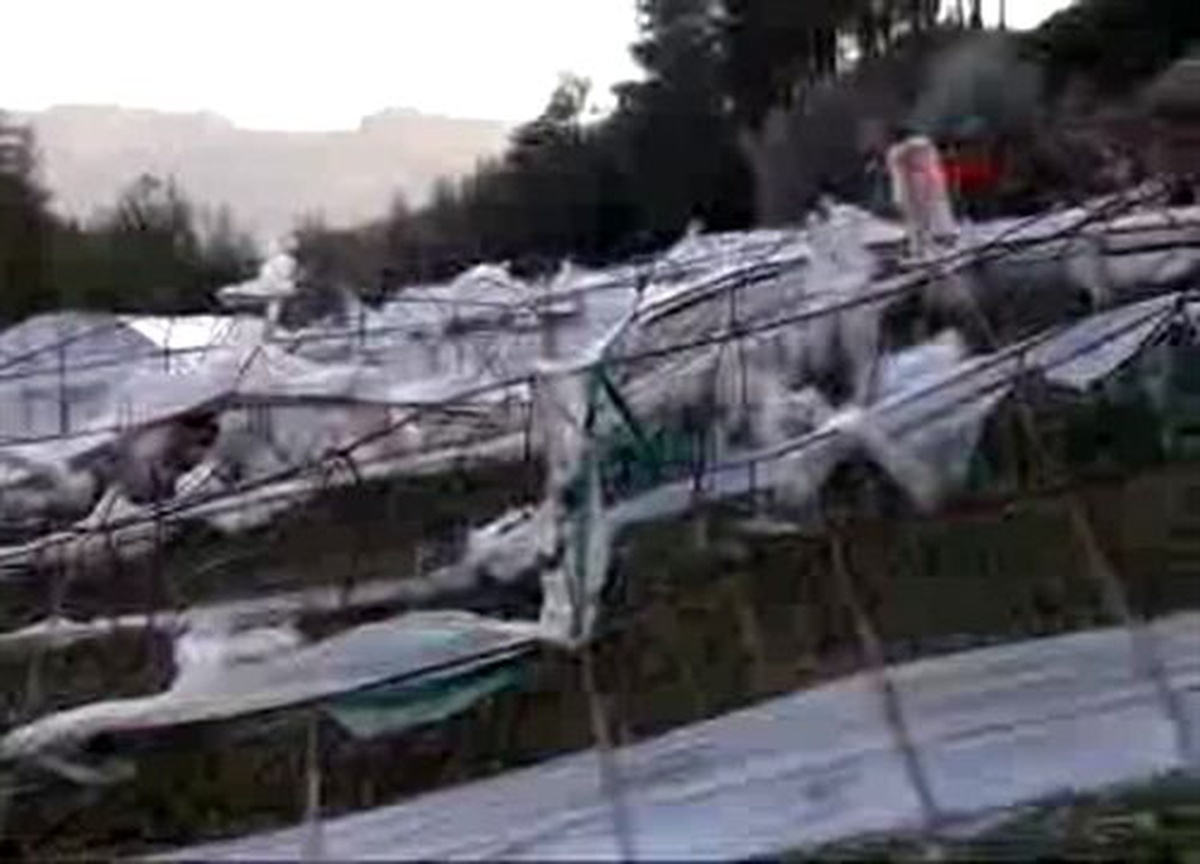 Dha Yurt; Fırtına Seraları Yıktı, Ürün Don Yedi