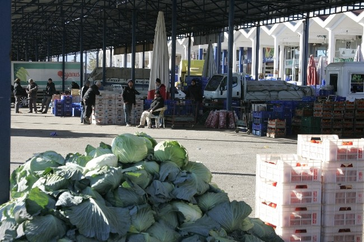 Dondurucu Soğuk, Antalya Hali\'ni Etkiledi