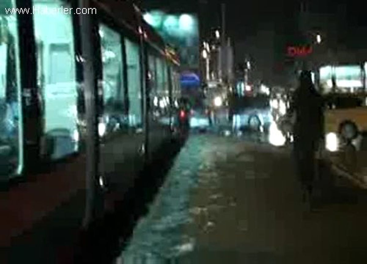 Bursa\'da İpekböceği\'ne Otomobil Çarptı
