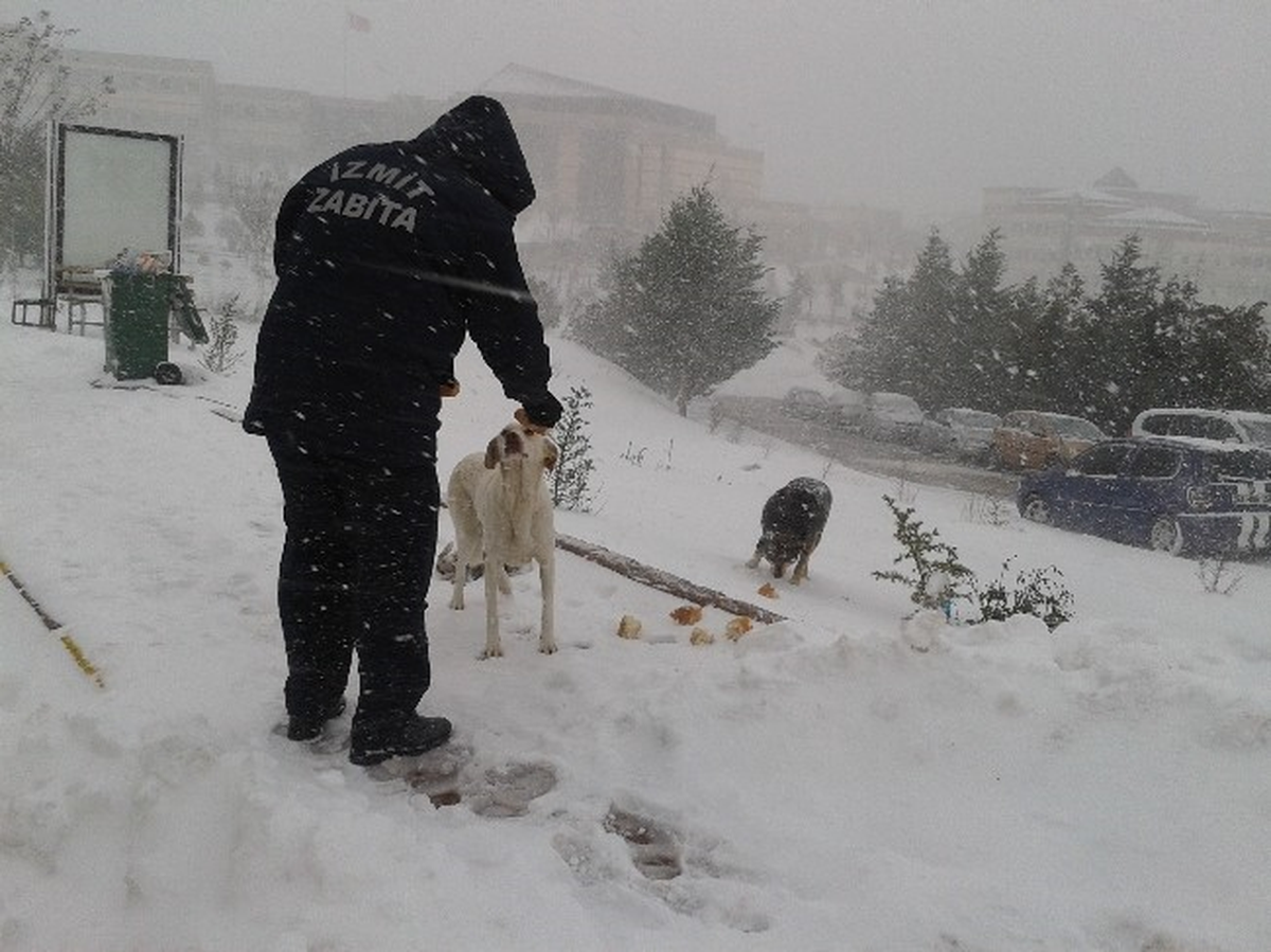 İzmit Belediyesi Hayvanları Unutmadı
