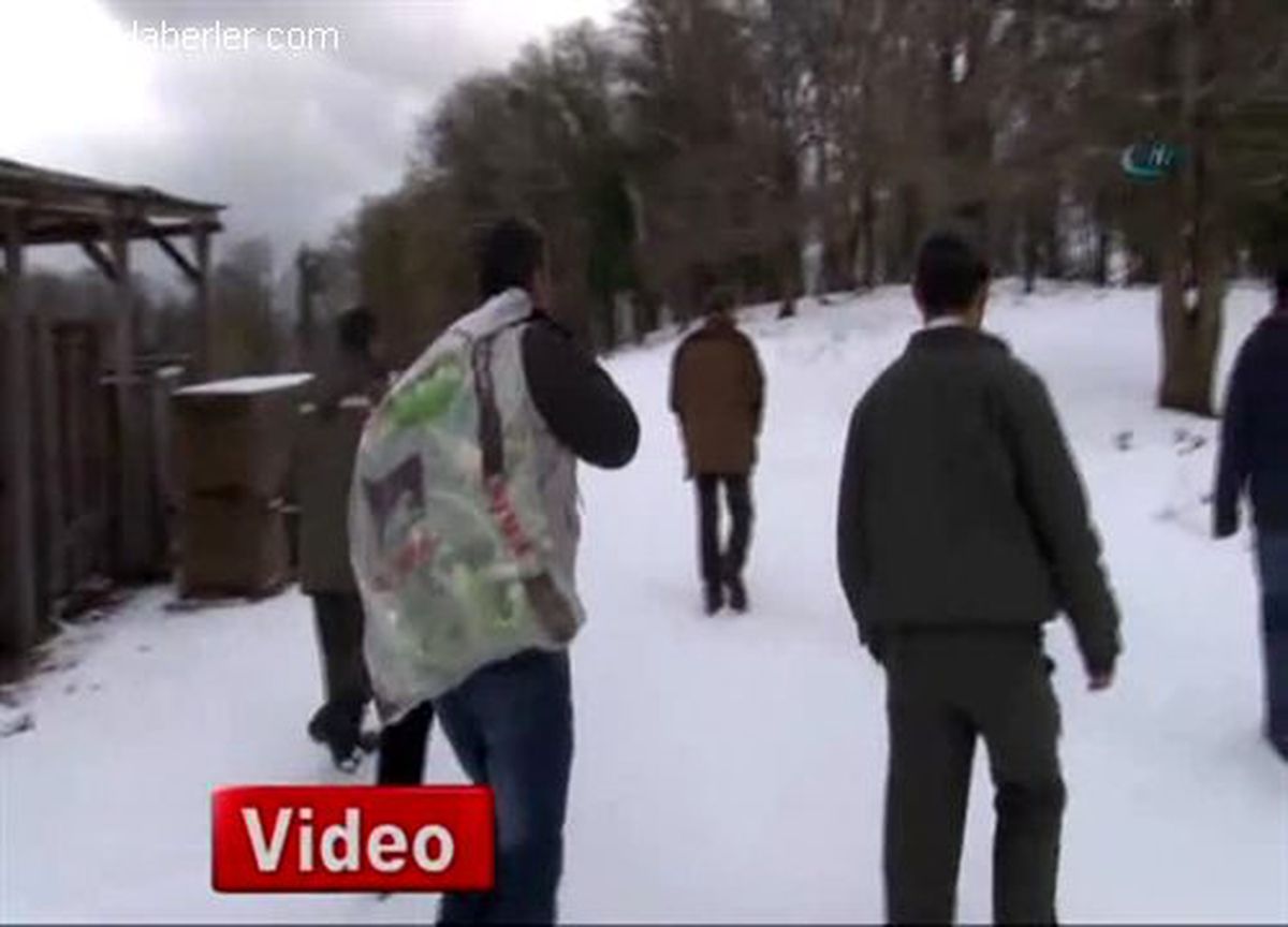 Karda Aç Kalan Hayvanların İmdadına Koştular