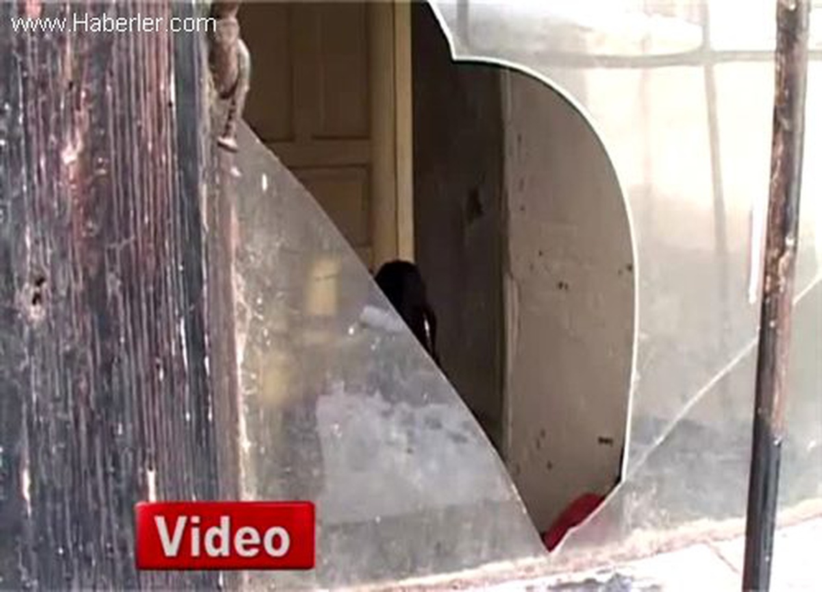 Kış Ortasında 82 Yaşındaki Kadın, Hayatta Kalma Mücadelesi Veriyor