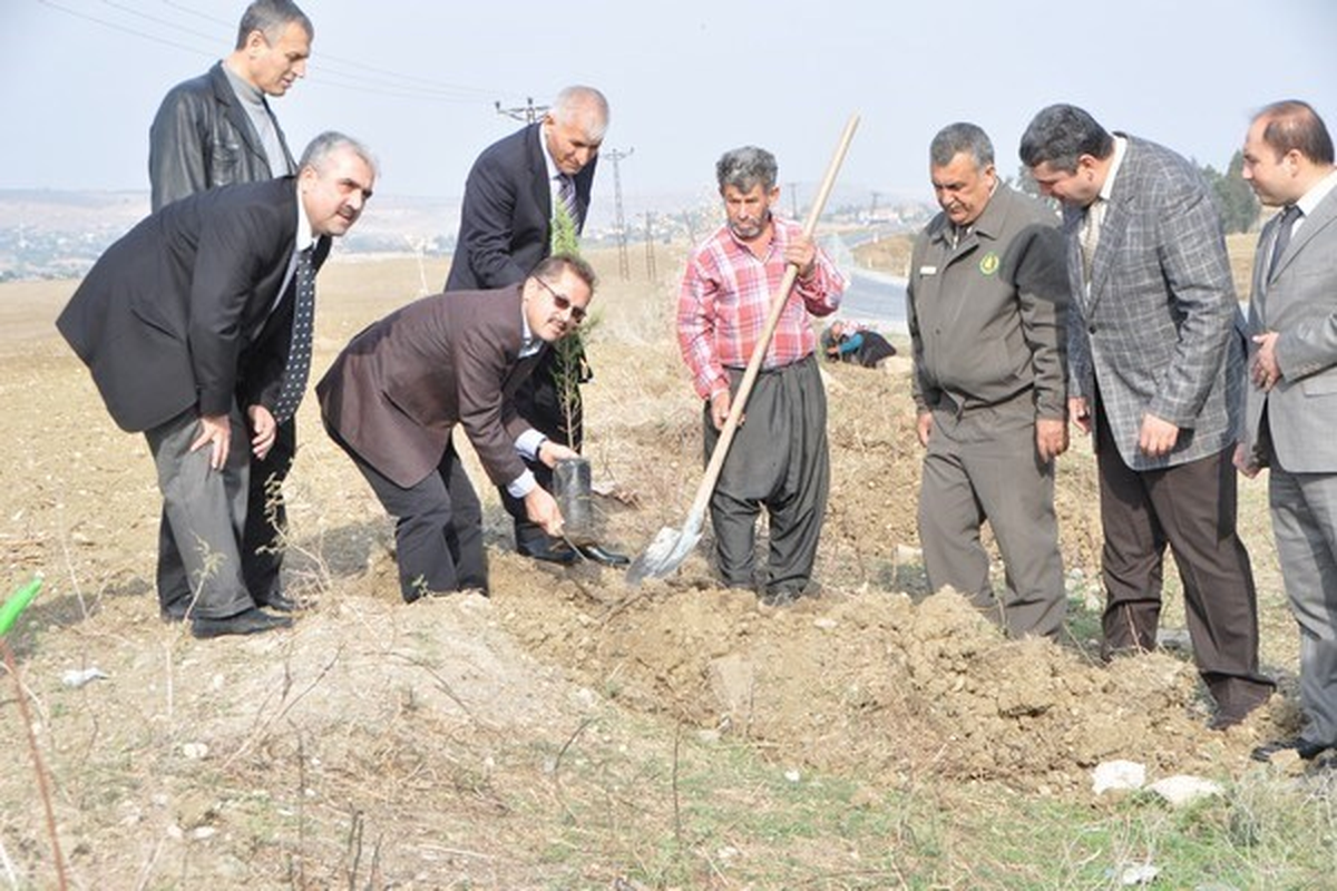 Mersin\'de Yol Kenarlarına 51 Bin Fidan Dikildi