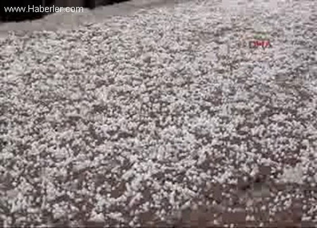 Orta Karadeniz\'de 213 Köy Yolu Ulaşıma Kapandı