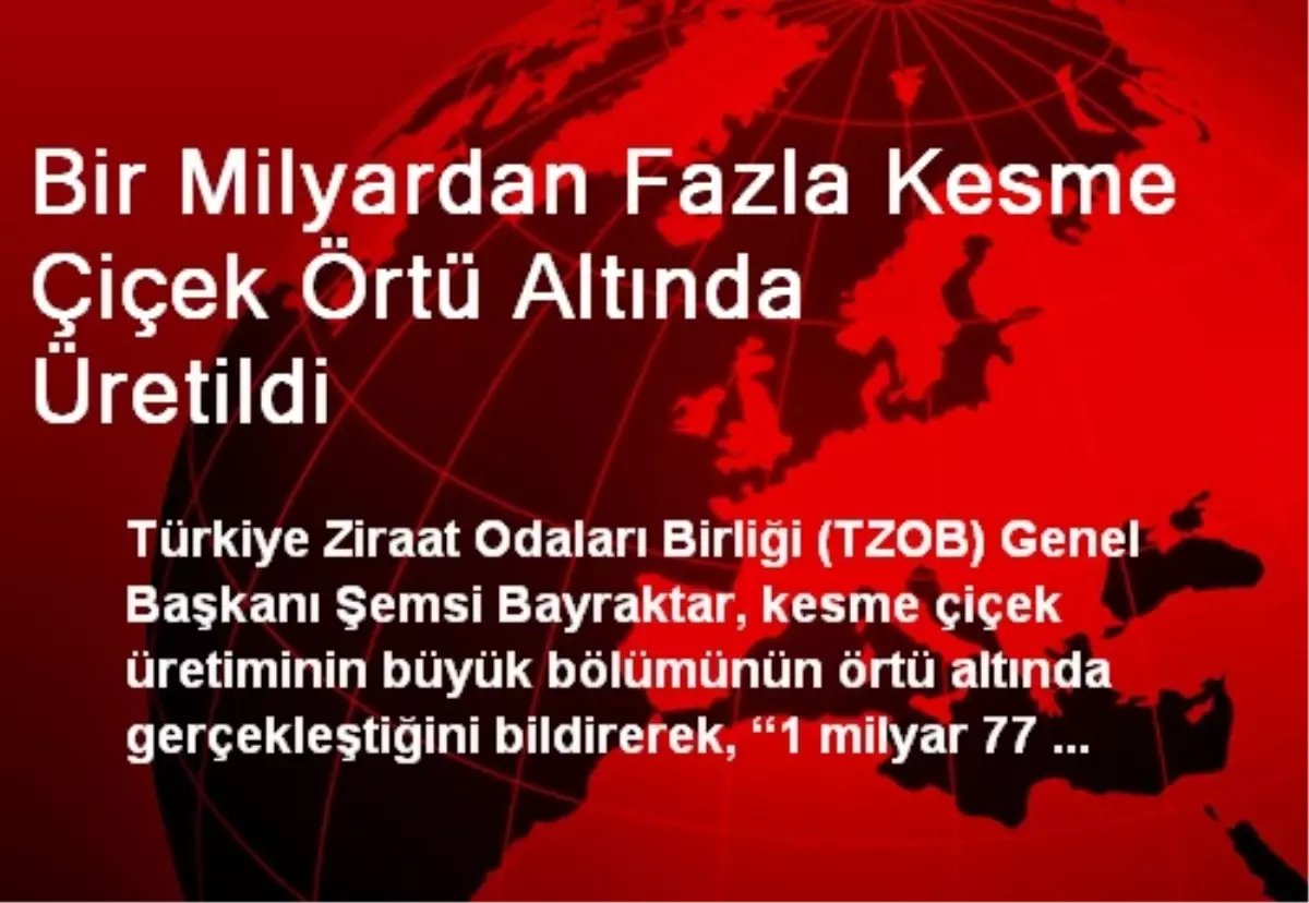 Bir Milyardan Fazla Kesme Çiçek Örtü Altında Üretildi