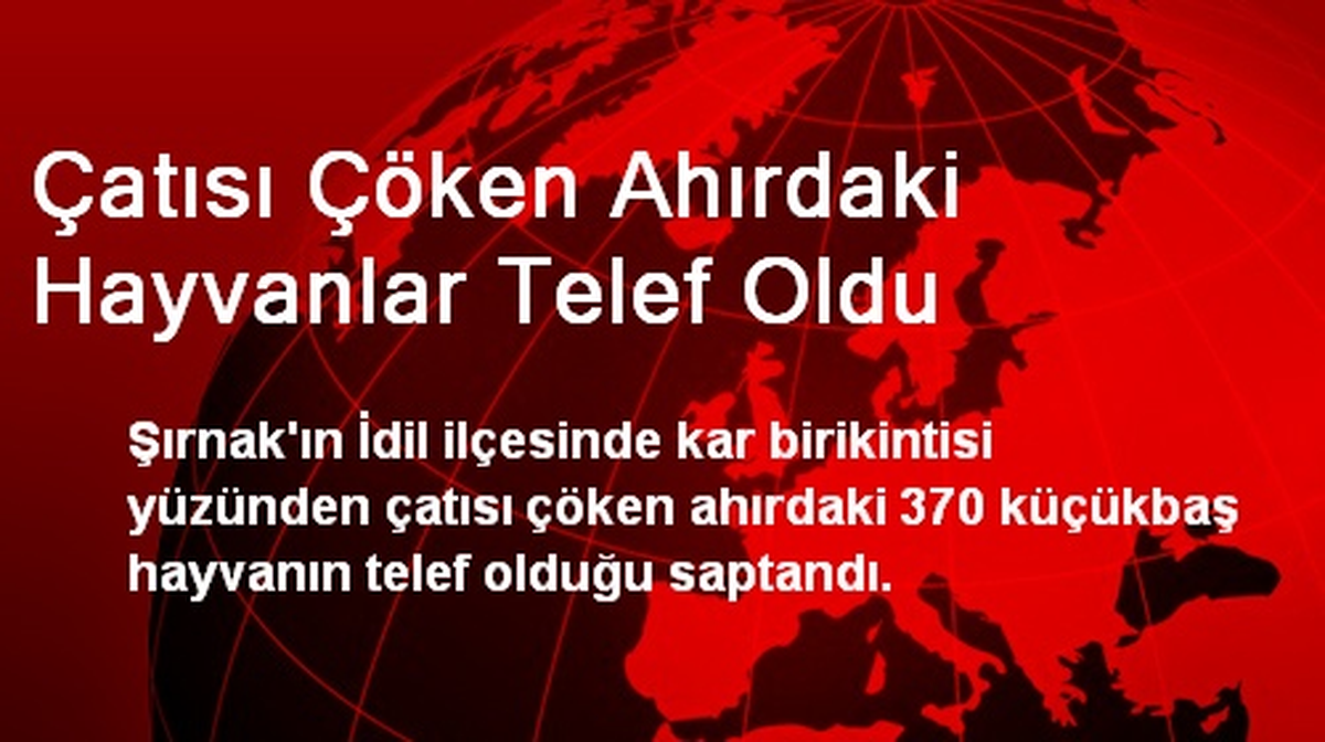 Çatısı Çöken Ahırdaki Hayvanlar Telef Oldu
