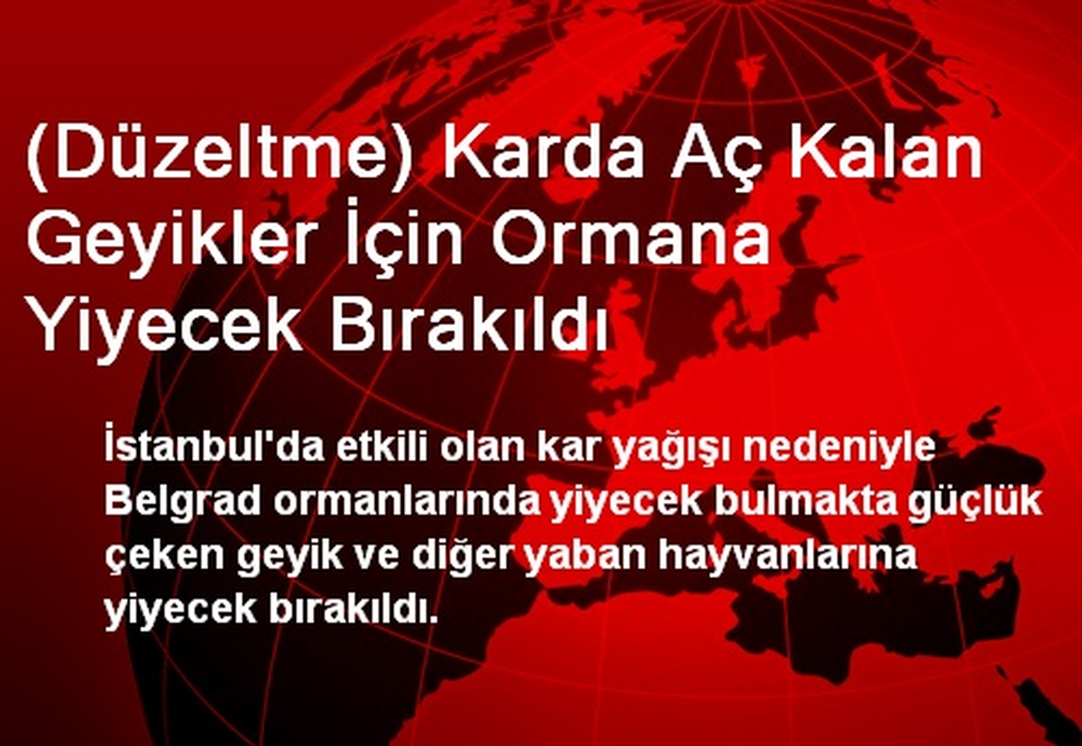 (Düzeltme) Karda Aç Kalan Geyikler İçin Ormana Yiyecek Bırakıldı