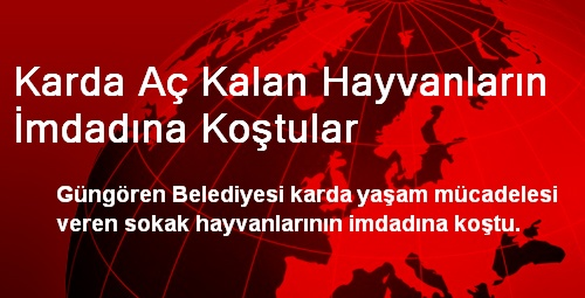 Karda Aç Kalan Hayvanların İmdadına Koştular