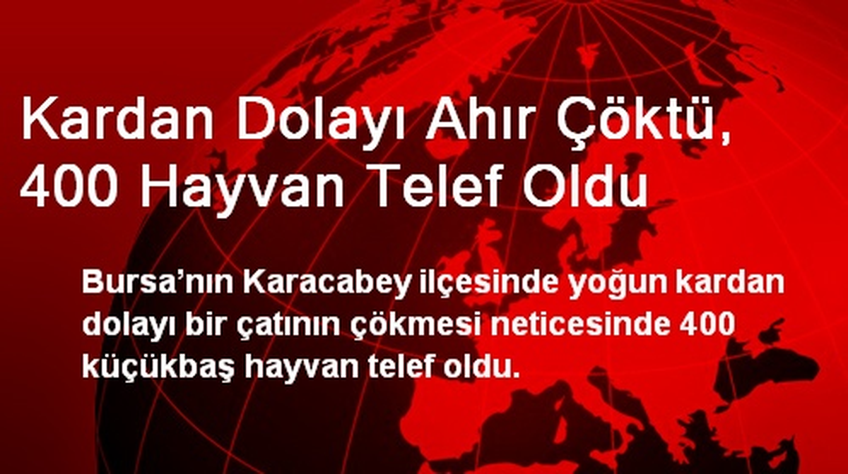 Kardan Dolayı Ahır Çöktü, 400 Hayvan Telef Oldu