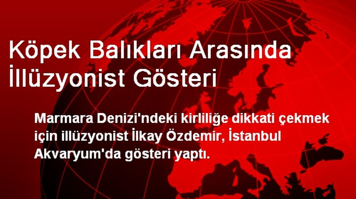 Köpek Balıkları Arasında İllüzyonist Gösteri