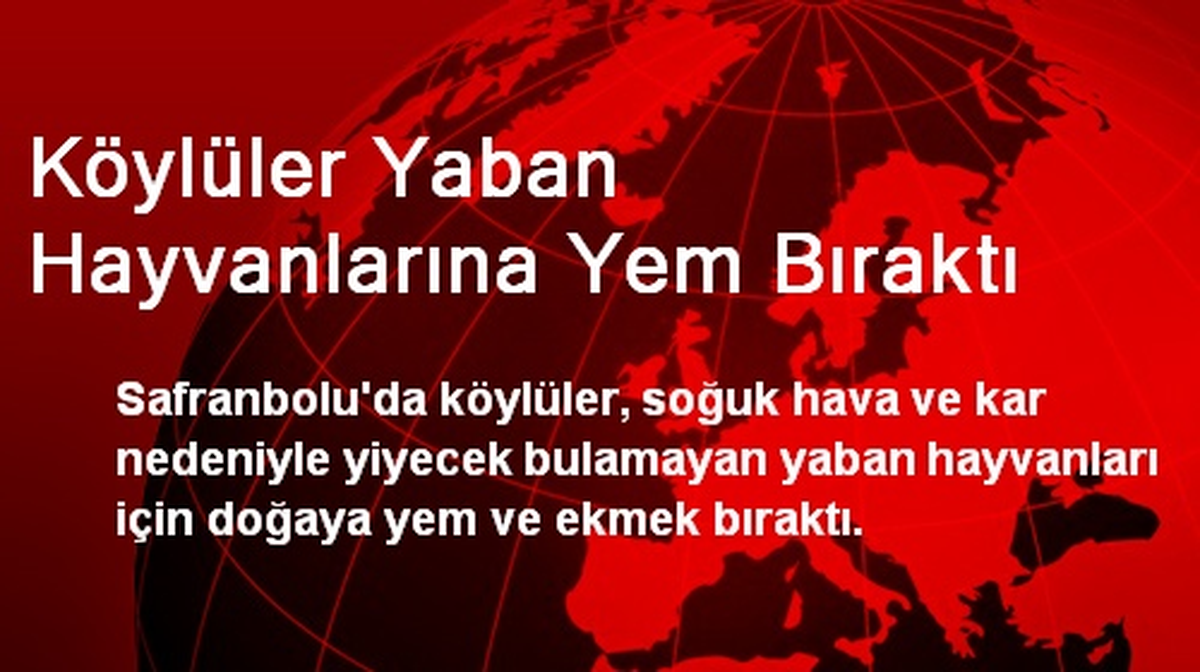 Köylüler Yaban Hayvanlarına Yem Bıraktı