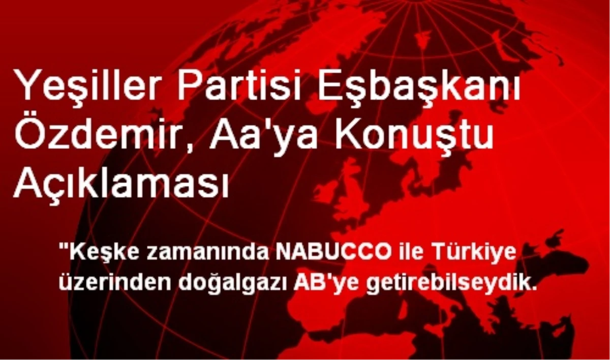 Yeşiller Partisi Eşbaşkanı Özdemir, Aa\'ya Konuştu Açıklaması