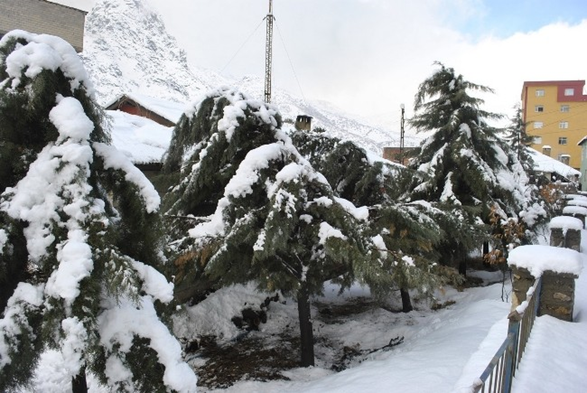 Şemdinli\'de Kar Esareti