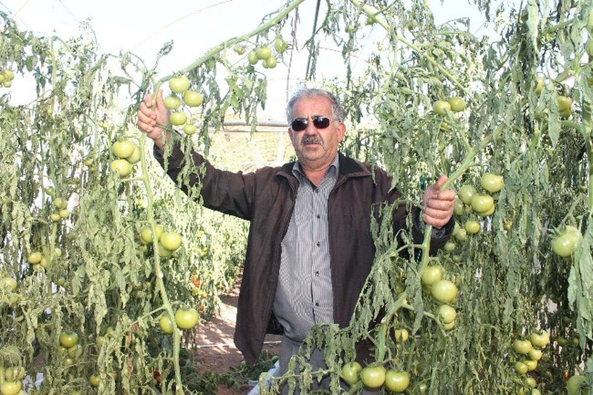Seraları Kuzey Rüzgarı Vurdu