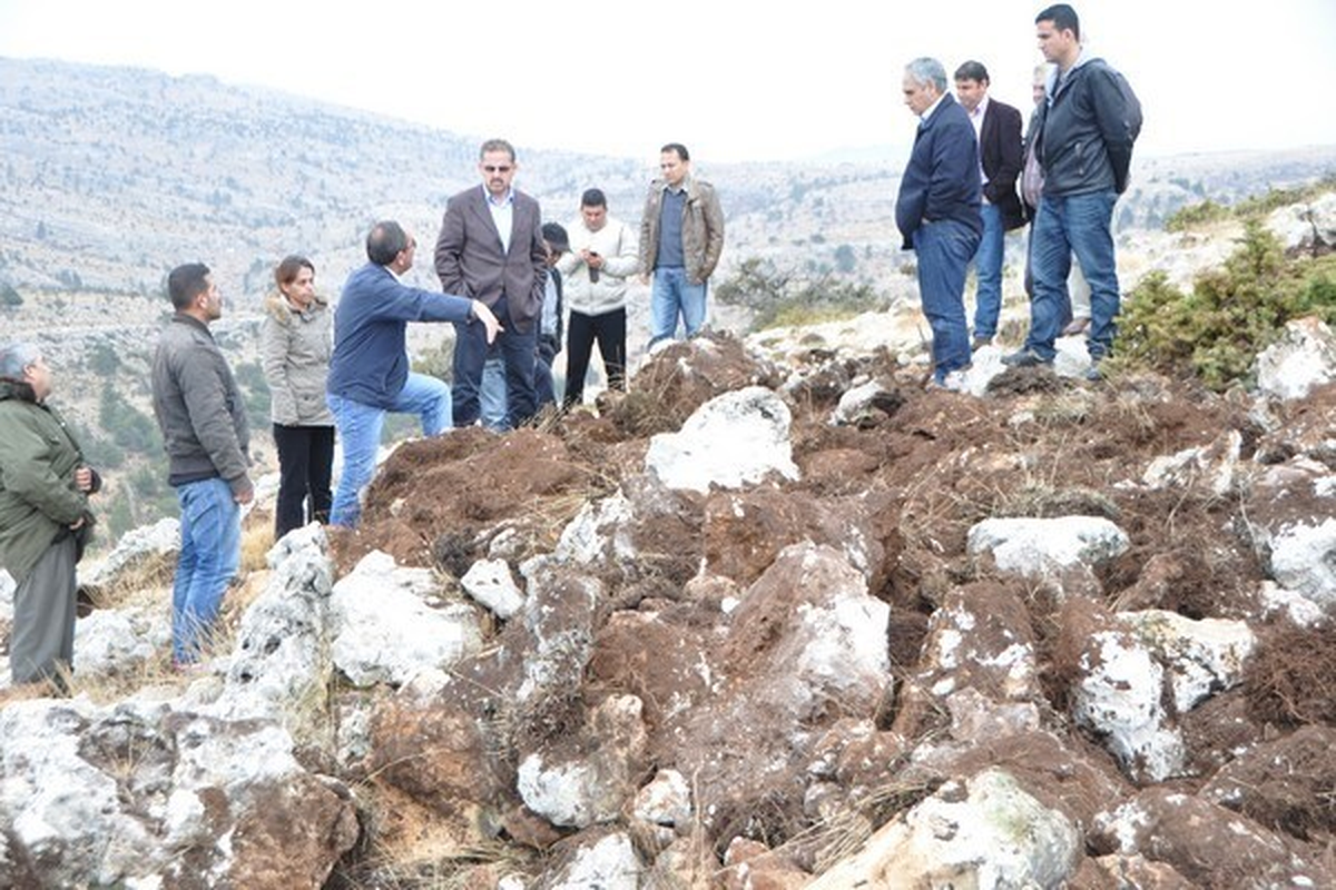 Toroslar Sedir ve Kızılçamla Bezenecek
