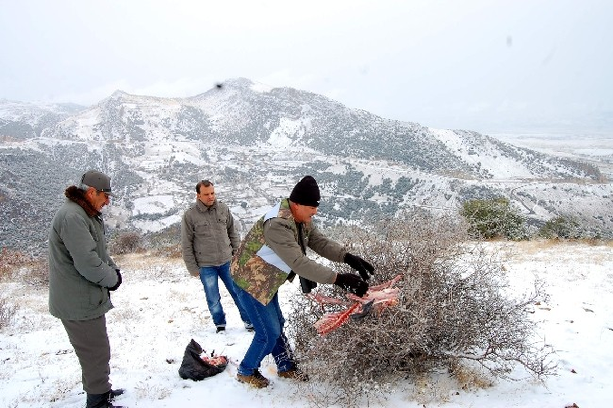 Adıyaman\'da Hayvanlar İçin Doğaya Yem Bırakıldı