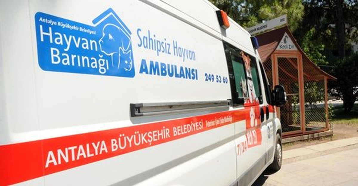 Büyükşehir Belediyesinden Hayvan Ambulansı Hizmeti