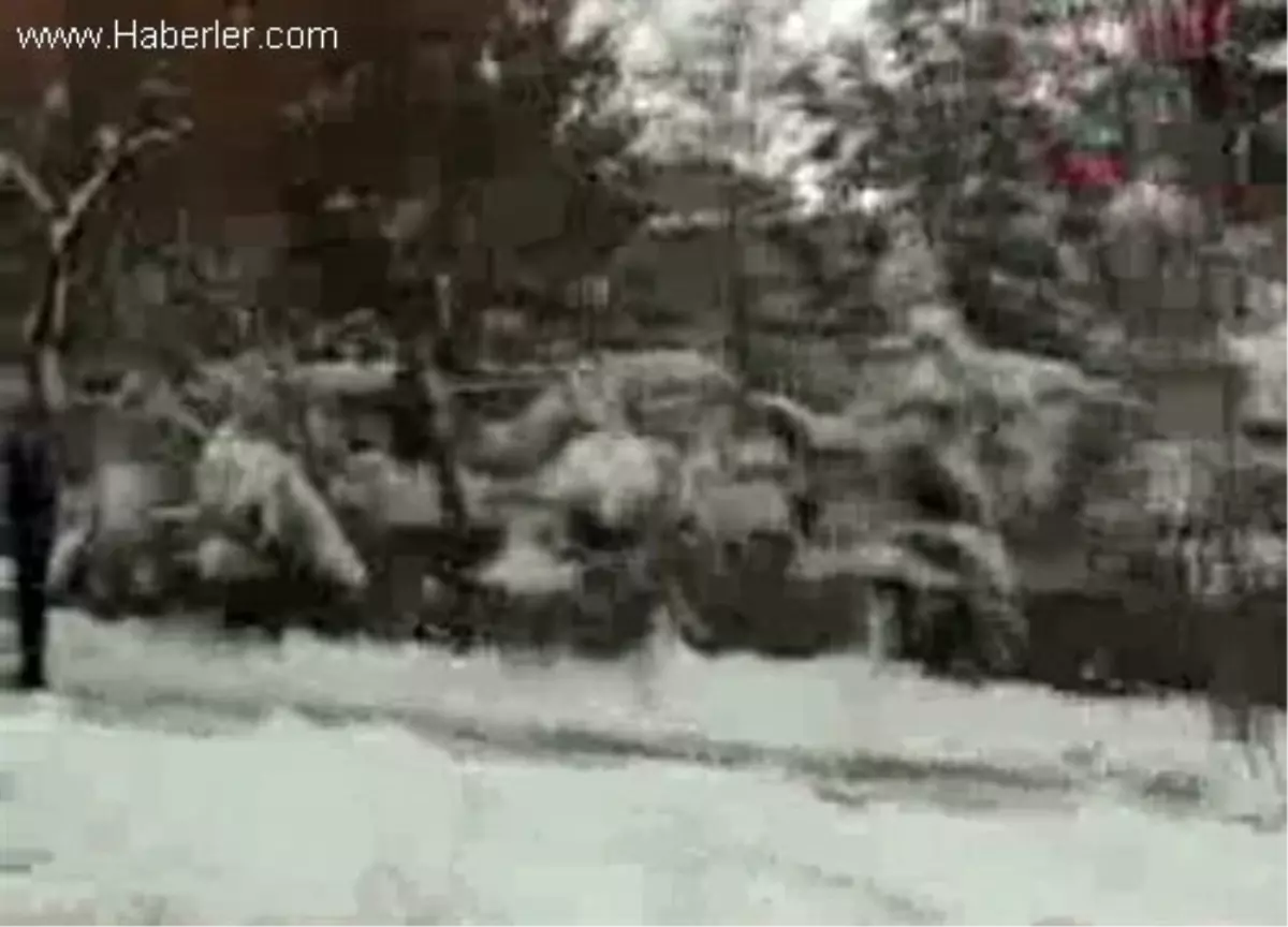 Mardin, Beyaz Gelinlik Giydi