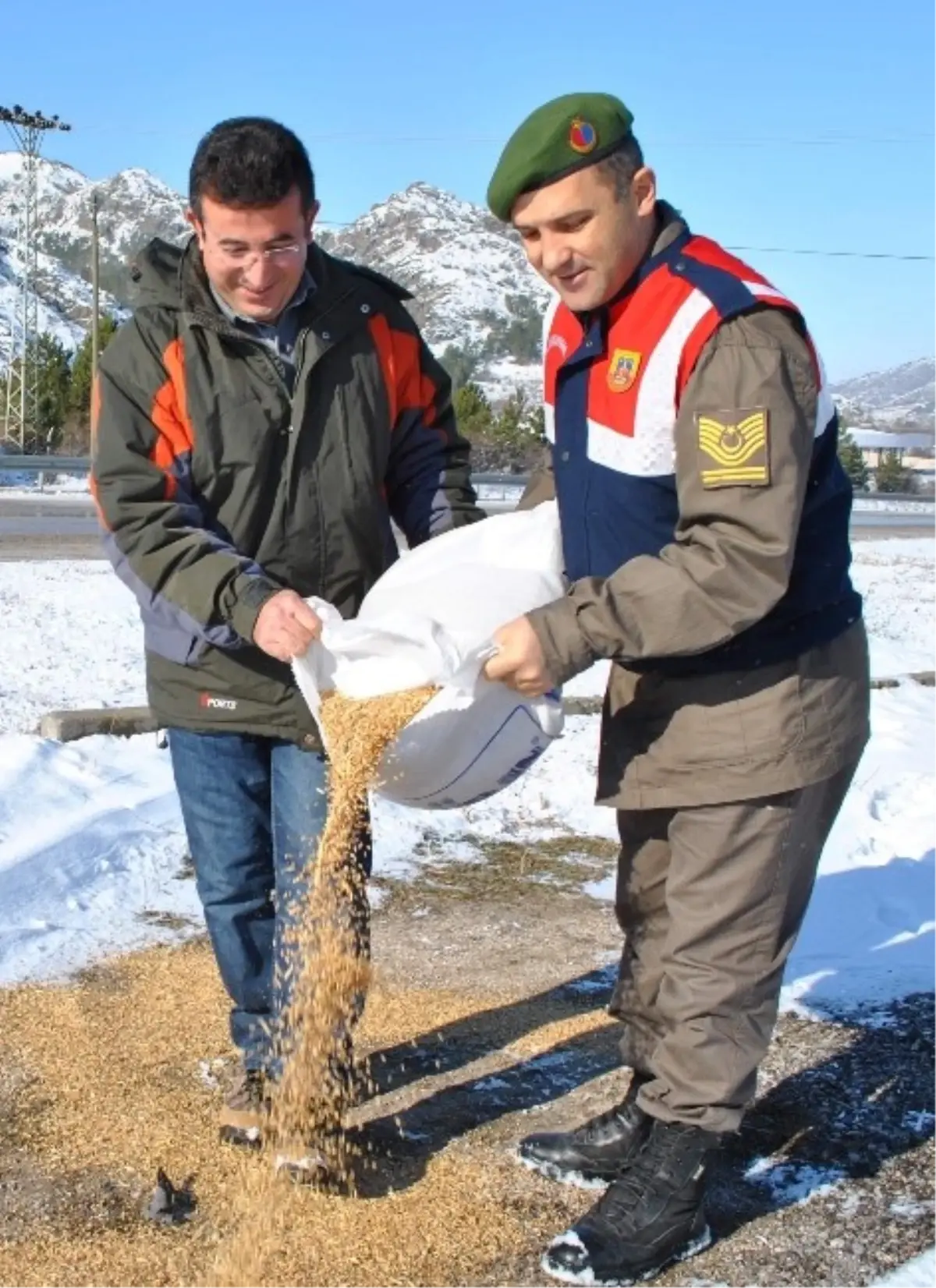 Mehmetçik Şefkati