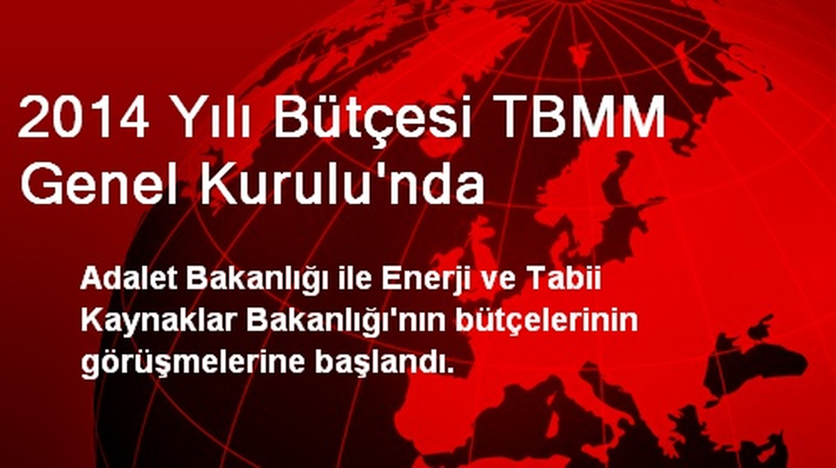 2014 Yılı Bütçesi TBMM Genel Kurulu\'nda