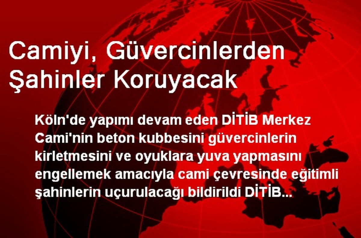 Camiyi, Güvercinlerden Şahinler Koruyacak