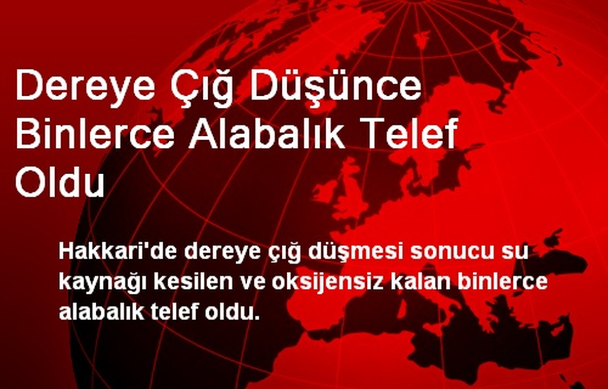 Dereye Çığ Düşünce Binlerce Alabalık Telef Oldu