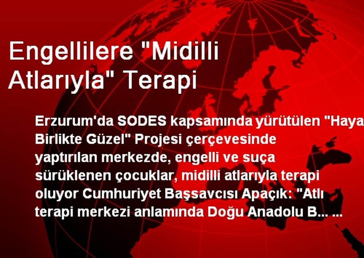 Engellilere "Midilli Atlarıyla" Terapi