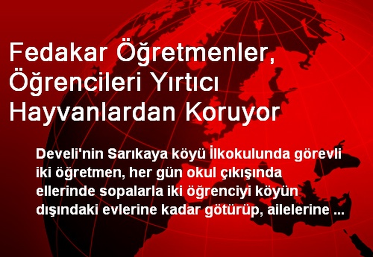 Fedakar Öğretmenler, Öğrencileri Yırtıcı Hayvanlardan Koruyor