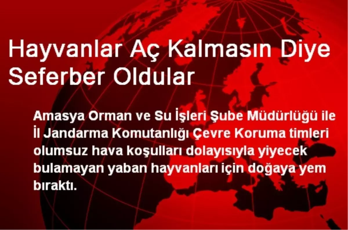 Hayvanlar Aç Kalmasın Diye Seferber Oldular