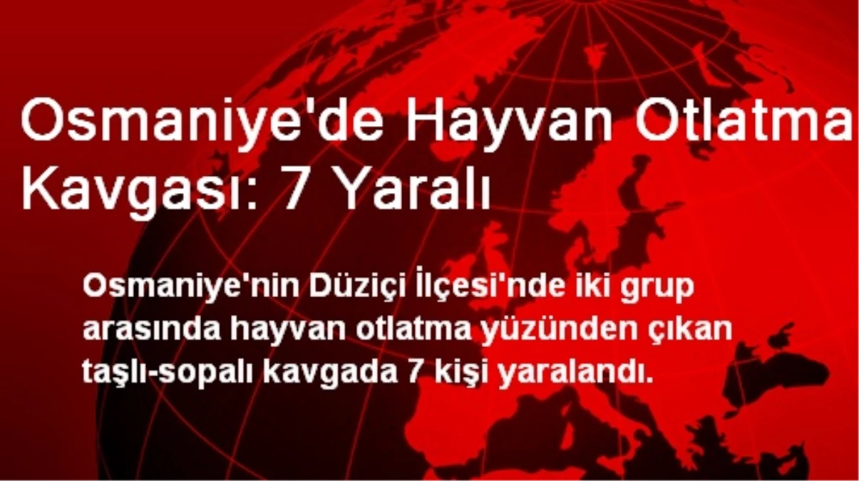 Osmaniye\'de Hayvan Otlatma Kavgası: 7 Yaralı