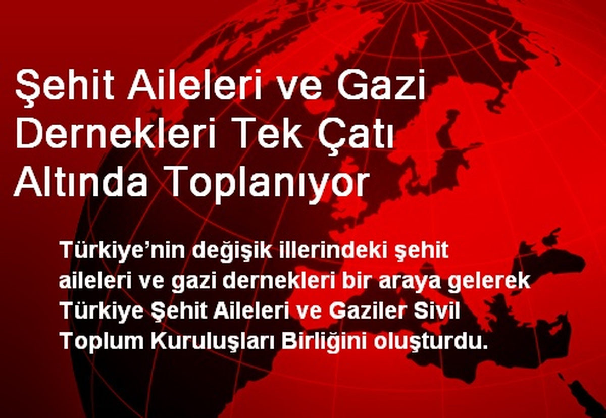 Şehit Aileleri ve Gazi Dernekleri Tek Çatı Altında Toplanıyor