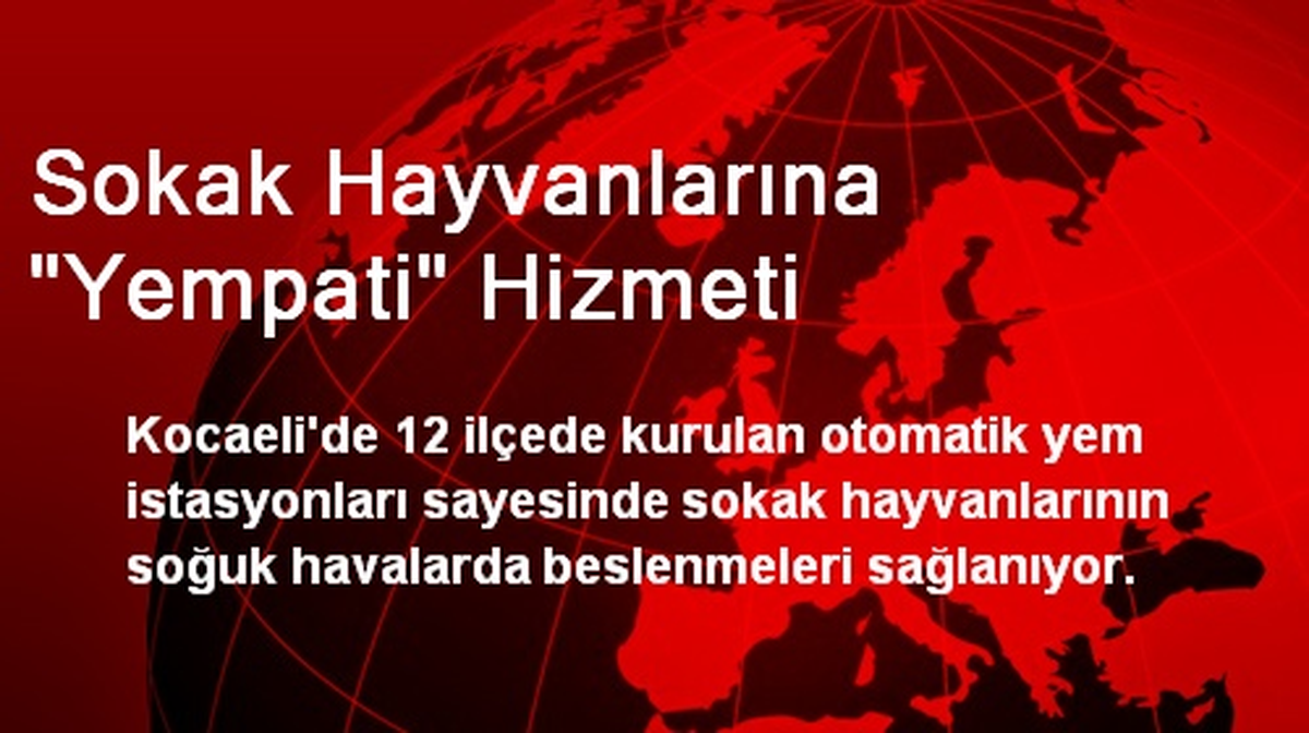 Sokak Hayvanlarına "Yempati" Hizmeti
