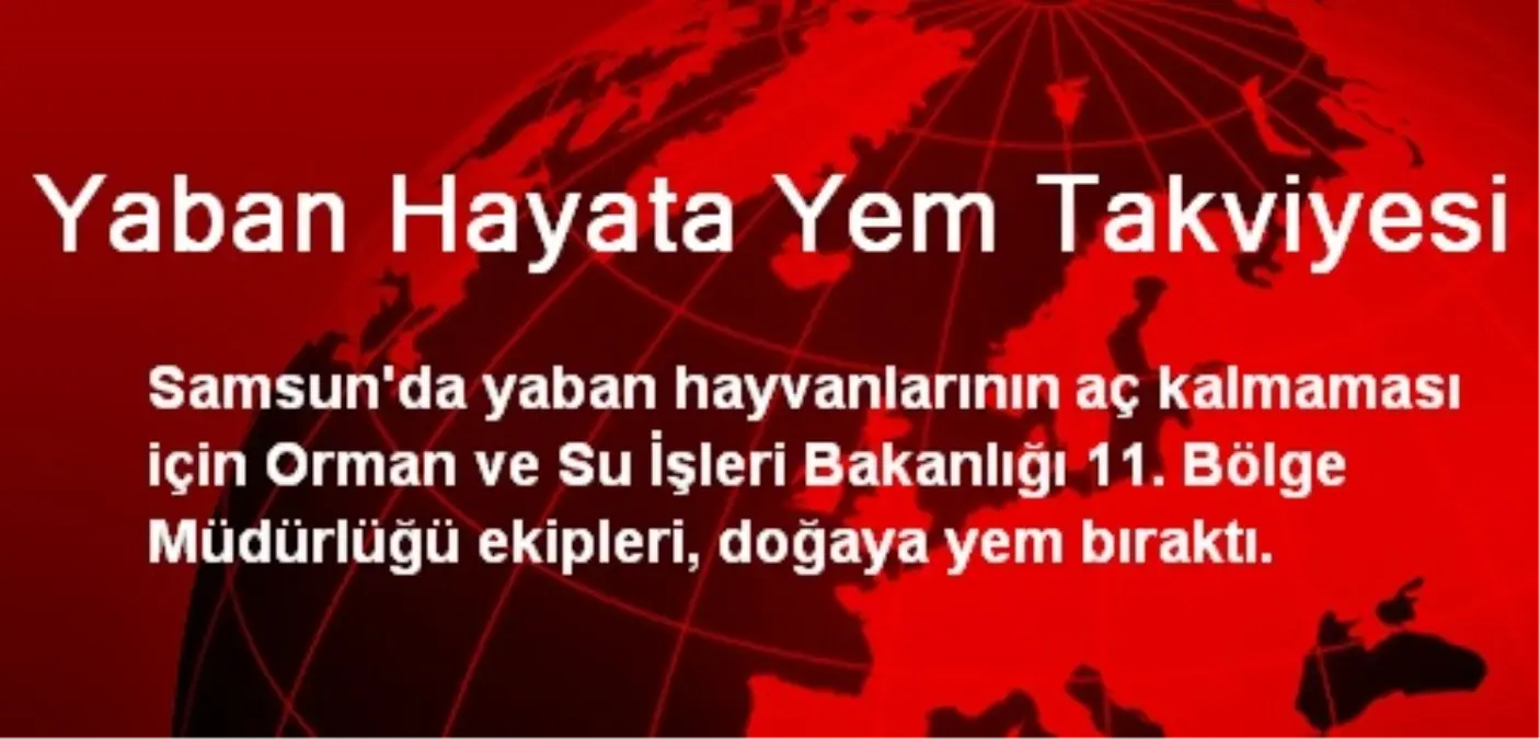 Yaban Hayata Yem Takviyesi