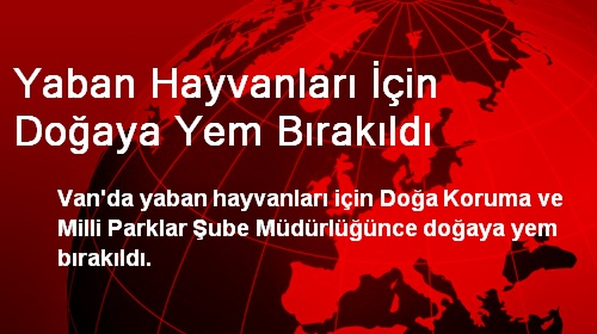 Van\'da Yaban Hayvanları İçin Doğaya Yem Bırakıldı