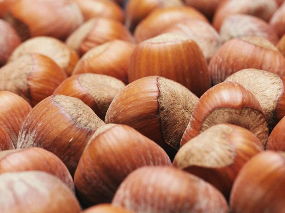 Kabuklu Fındığın Kilogramı 6,48 ila 6,80 Liradan İşlem Gördü