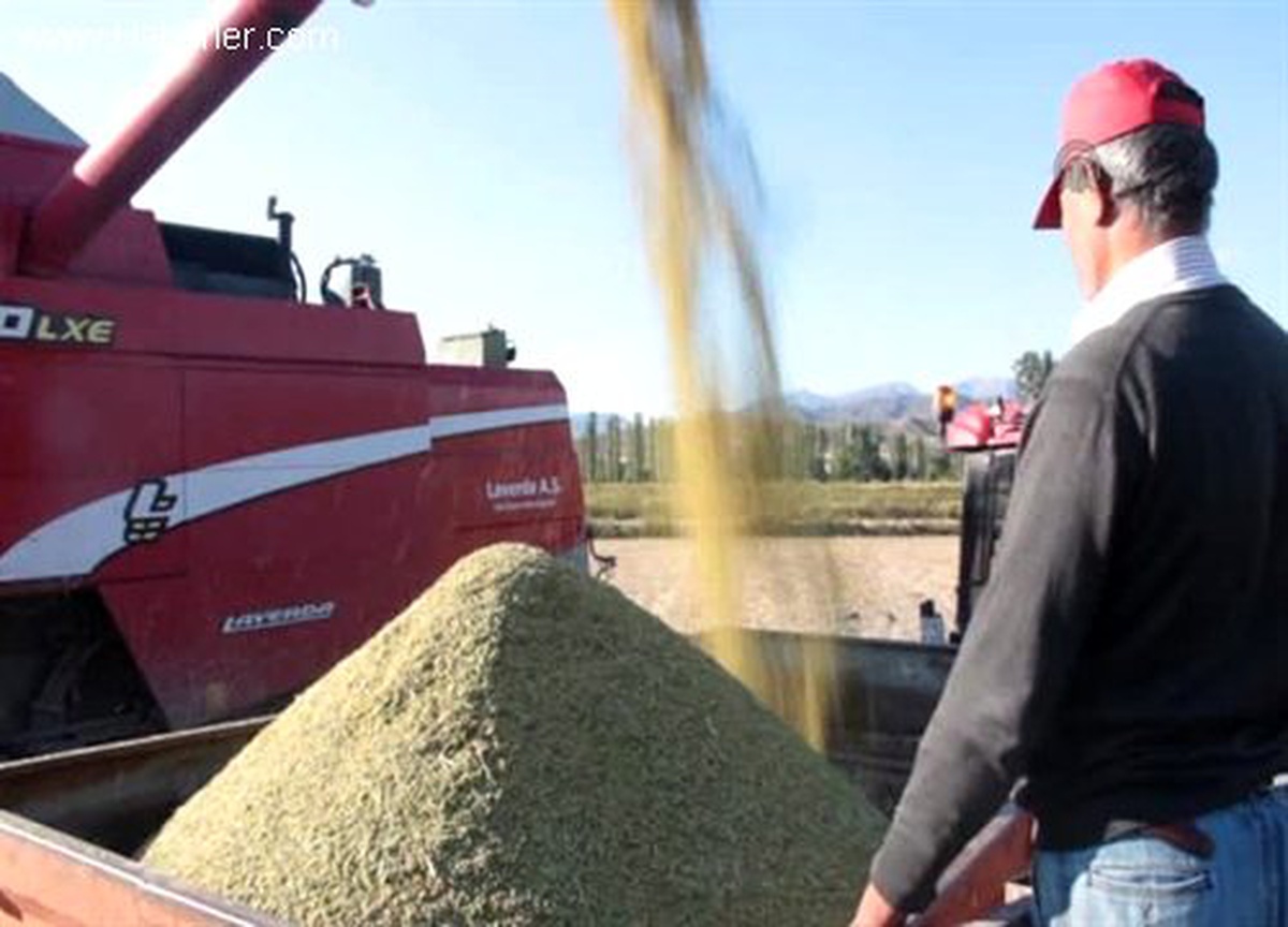 Stoklar eridi, pirinç fiyatları yükseldi -