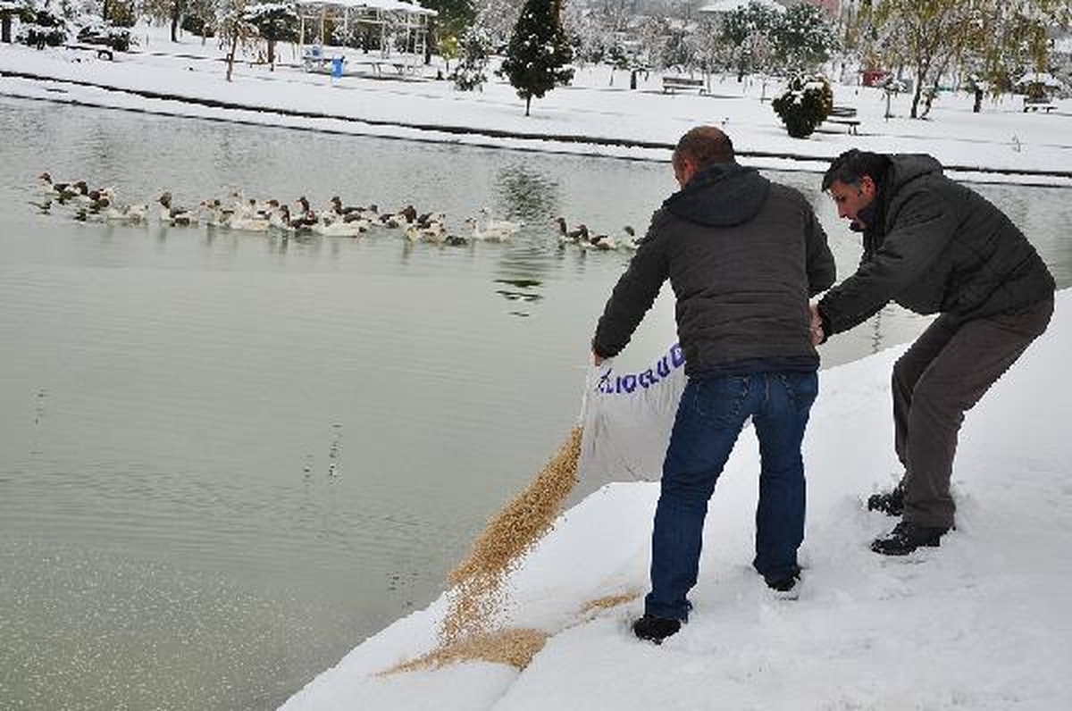Yaban Hayvanları İçin Doğaya Yiyecek Bırakıldı