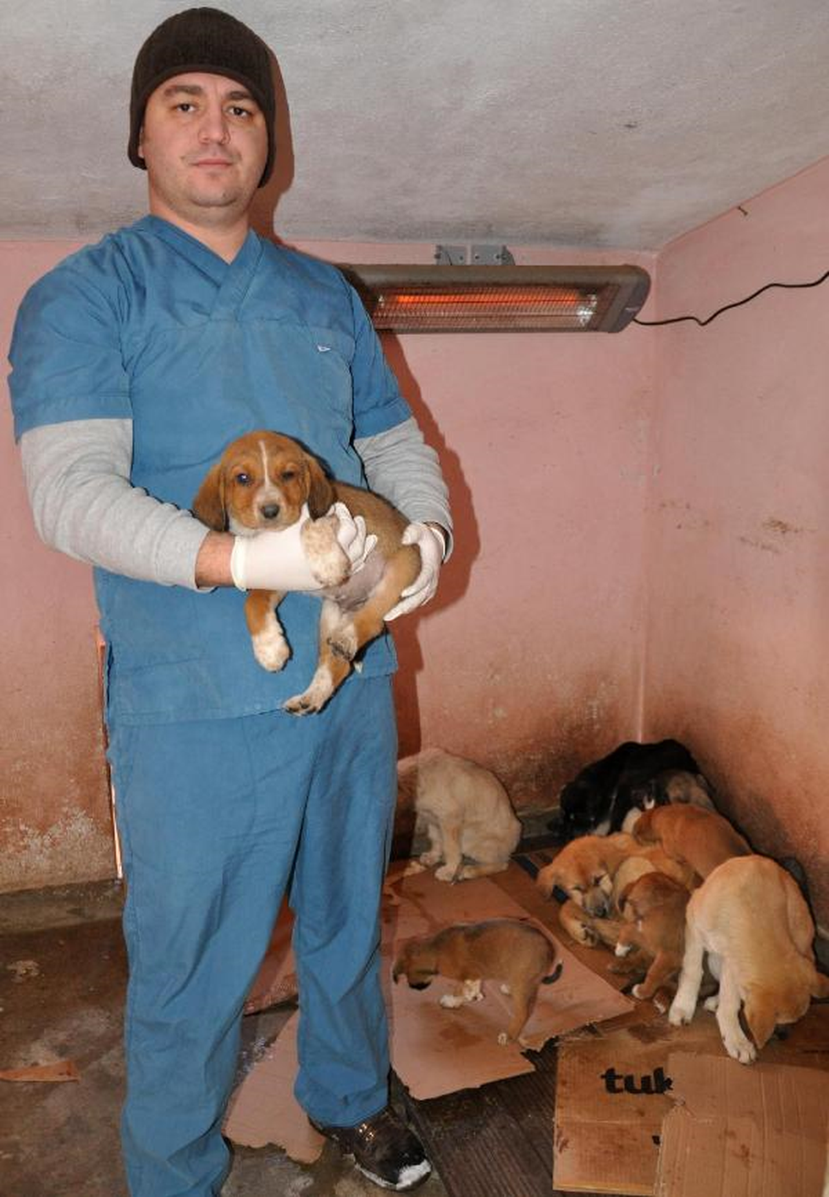 Yavru Köpekler Isıtıcı ile Soğuktan Korunuyor