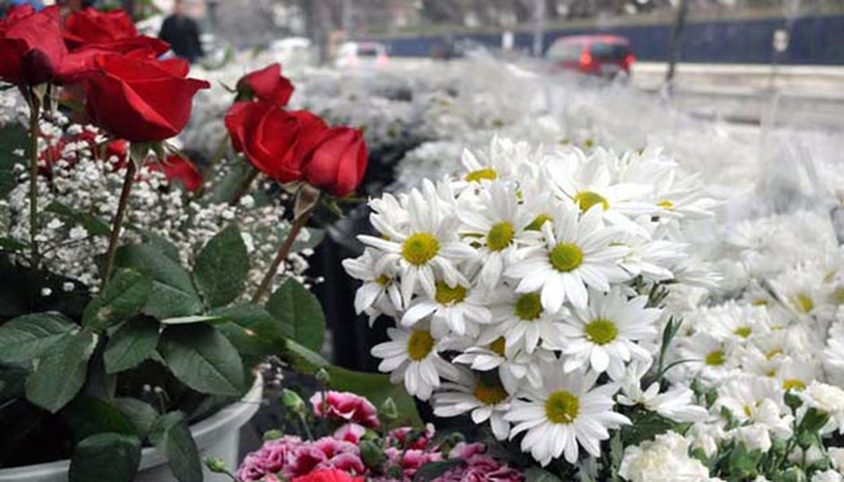 Yeni yıl çiçeği ihracatını "kara kış" vurdu -