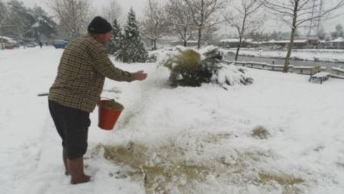 Zabıta Ekipleri Hayvanlarına Yem Bıraktı