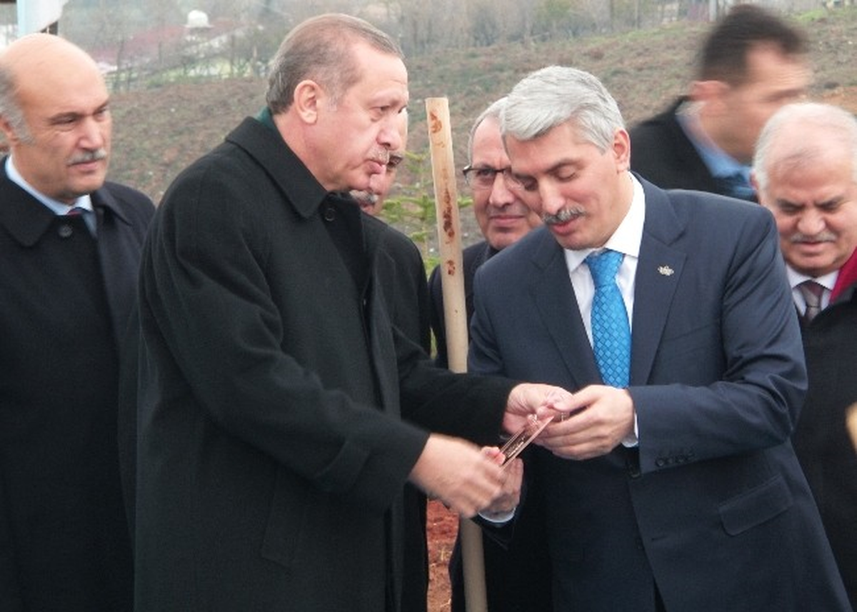 Başbakan Erdoğan\'dan Gezi Eylemcilerine "Ağaçlı" Gönderme