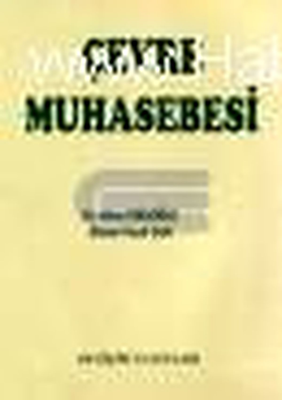 Çevre Muhasebesi Kitabı