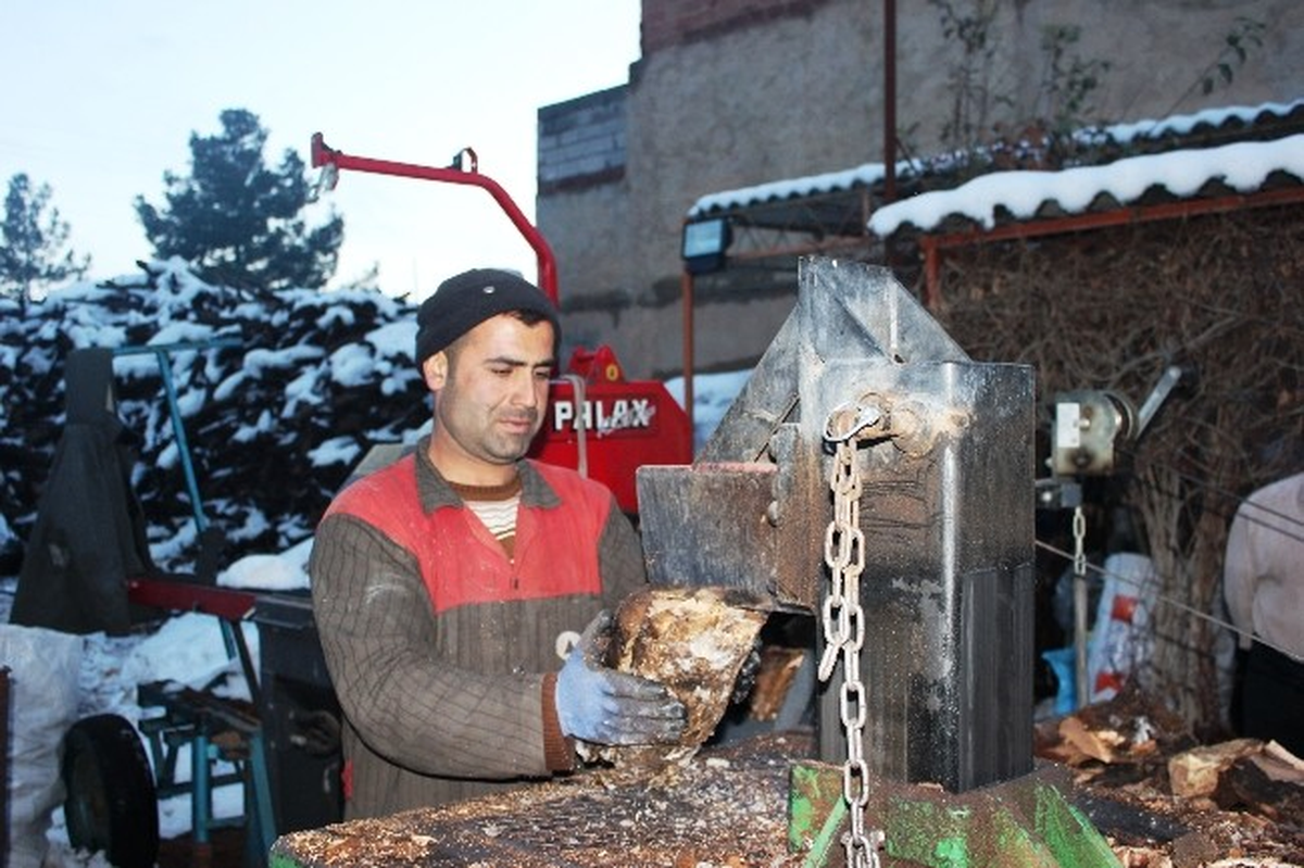 Ceylanpınar\'da Odun ve Kömür Satışları Patladı