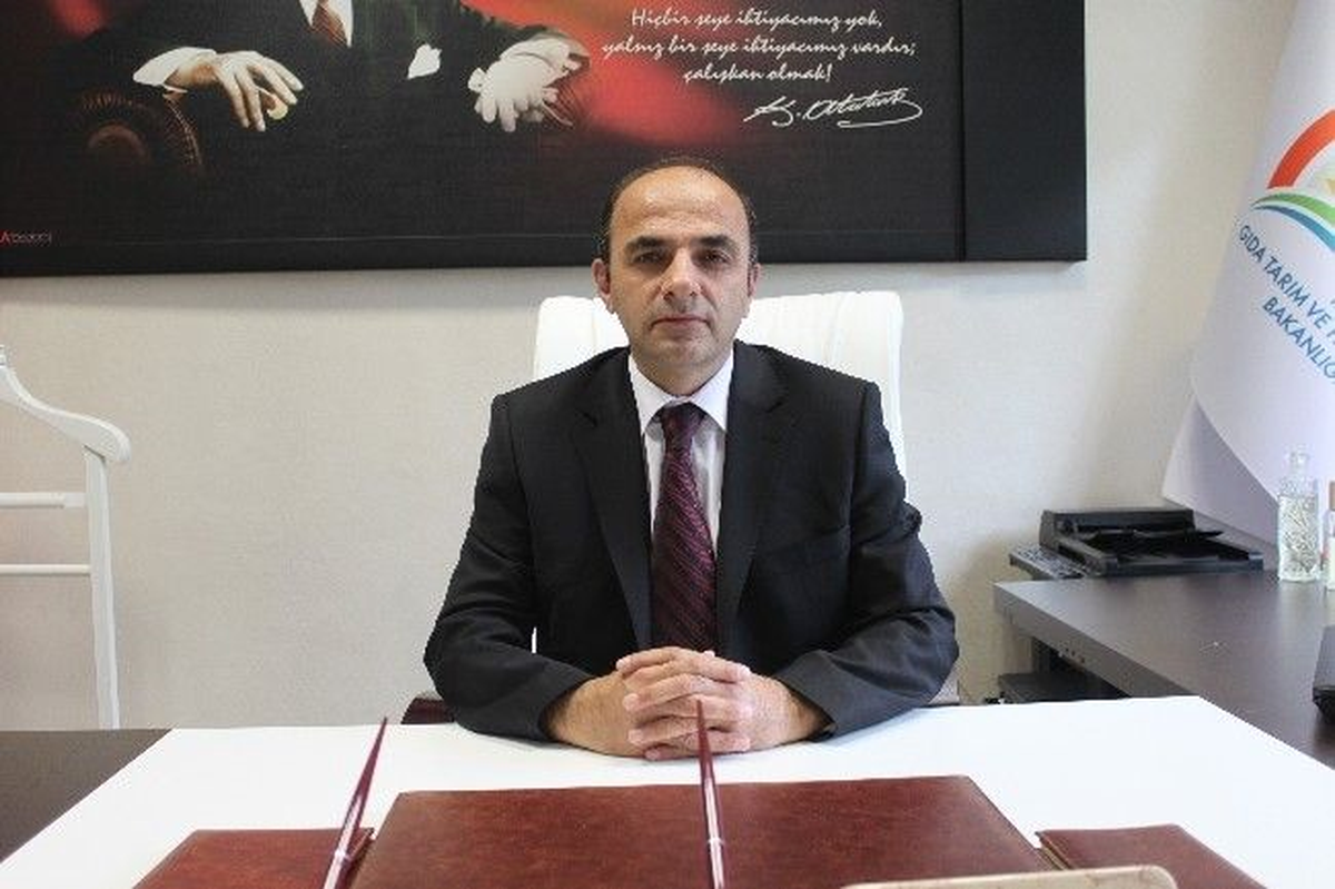 Düzce\'nin Kasımda Tarımsal Faaliyetler