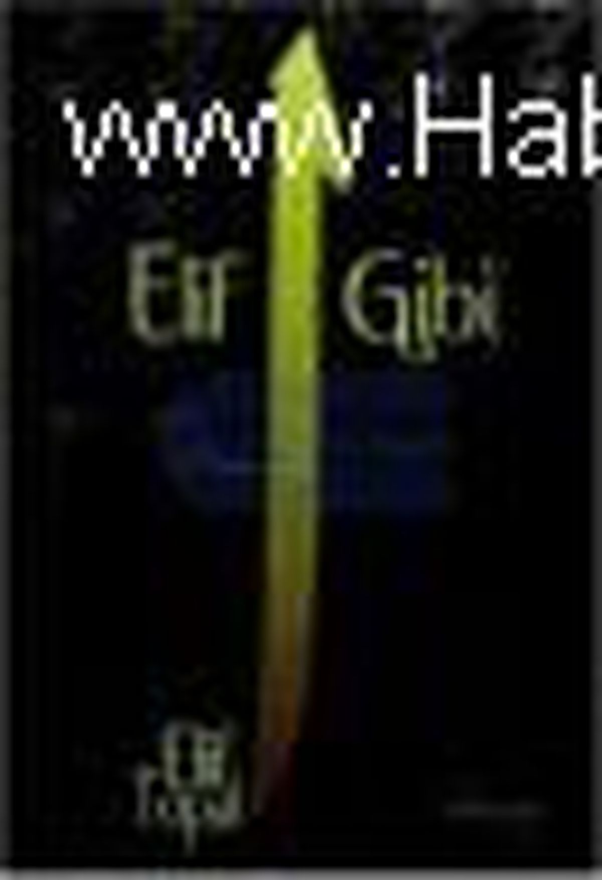 Elif Gibi Kitabı